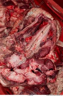 RAW meat pork 0109